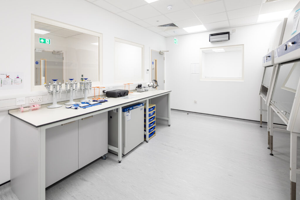 Intertek | Case Study | Constructive Space